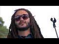 Alborosie - Herbalist (Live at California Roots 2014)