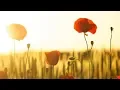 Download Lagu Peaceful Relaxing Instrumental Music, Meditation Nature Music \