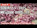 Download Lagu HARGA MELEDAK GUYS..!!! HARGA BAWANG MERAH HARI INI DIPASAR INDUK PROBOLINGGO, SENIN, 7/7/2025