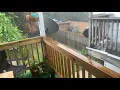 DIRECTV SATELLITE DISH