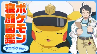 【公式】アニメ「ポケットモンスター」キャプテンピカチュウは⚫︎⚫︎寝！？ポケモンたちの寝顔を一挙公開！
