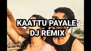 Download Kaattu Payale Dj Remix MP3