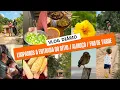 Download Lagu ROTINA DIÁRIA / LIMPEZA DA ENTRADA / FLORES / ALMOÇO / FIM DE TARDE 