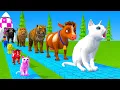 Download Lagu Long Slide Game With Cow Elephant Gorilla Hippopotamus Tiger 3d Animal Game Funny 3d Animals