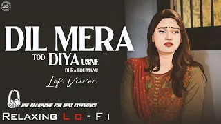 dil mera tod diya usne lofi mix hindi 90s evergreen relaxing bollywood lofi
