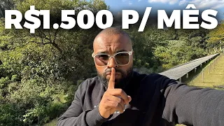 Do zero a R$ 1500 por mês sem seguidores passo a passo