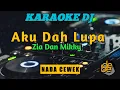 Download Lagu Dj Aku Dah Lupa Tak Ingat Lagi Karaoke Remix Nada Cewek