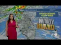 Jennifer Correa 2024 WPTV NBC5