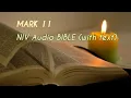 Mark 11 NIV BIBLE with text