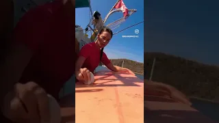 Walking On Sunshine #sailing #surfing #boatlife #livesunny