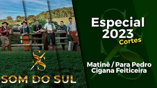 grupo som do sul matin p ra pedro cigana feiticeira cortes especial 2023