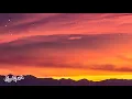 Zayn - Vibez (Lyrics)