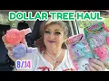 DOLLAR TREE HAUL NEW FINDS August 14 2026