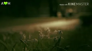 طمني عليك موسيقى 