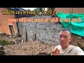 Download Lagu भीड़े का काम डर डर के कर ही रहे है ॥ बारिश साथ नहीं दे रही है #pahadlifestyle 