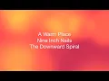 Piano Tutorial: Nine Inch Nails - A Warm Place