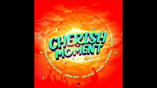 cherish the moment riddim mix full feat demarco vybz kartel tashina muzik december 2021 