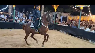 المعلم واجدع خيل رقص