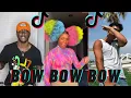 It's a remix and I'm coming with that bow bow bow TIKTOK Dance Compilation
