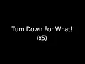 DJ Snake feat  Lil Jon   Turn Down For What Lyrics 1