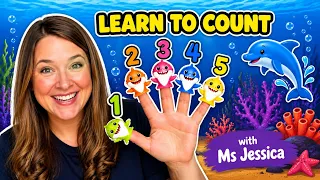 Toddler Learning : Baby Shark Learn to Count! | FUN Preschool Learning Video | Learn Numbers