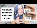 MY HALAL EYEBROW ROUTINE GROWING OUT MY BROWS FOR 1 5 YEARS