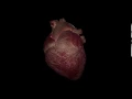 Lagu Heart Beating Animation