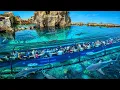 NEW Shark Encounter At SeaWorld San Diego - FULL 4K Walkthrough Tour