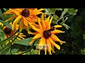 Download Lagu Surah 104 | Al Humazah | Beautiful Scenery | Abdul Rehman Al Sudais | The Holy Quran