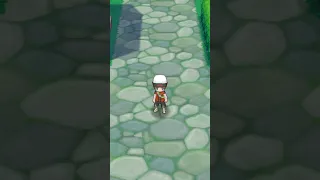 Secret Area in Pokemon Omega Ruby