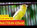 MASTERAN KENARI MP3 - JEDA SUARA AIR FULL HD