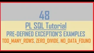 Tutorial 48 Pre-Defined Exception s Example too - many