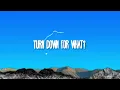 DJ Snake, Lil Jon - Turn Down For What