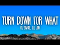 Download Lagu DJ Snake, Lil Jon - Turn Down For What