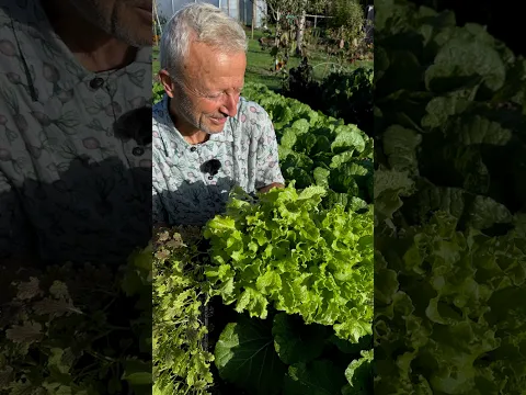 Raise great plants