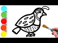 Quail Bird Drawing Painting and Coloring for Kids Toddlers Let s Draw Animals and Birds