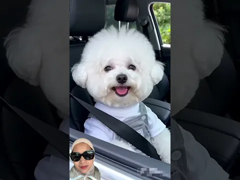 MAMA KISS MAU PERGI ❗️
