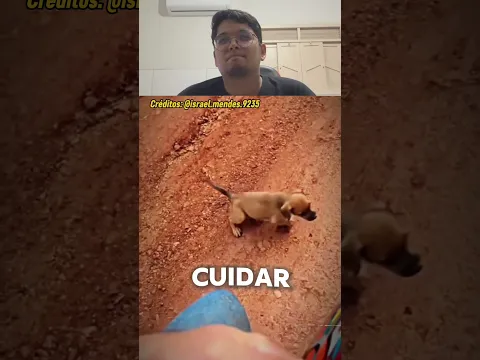 DEIXE SUA CURTIDA PRA ESSE HERÓI! #familia #cachorro #pets #youtubeshorts #shorts