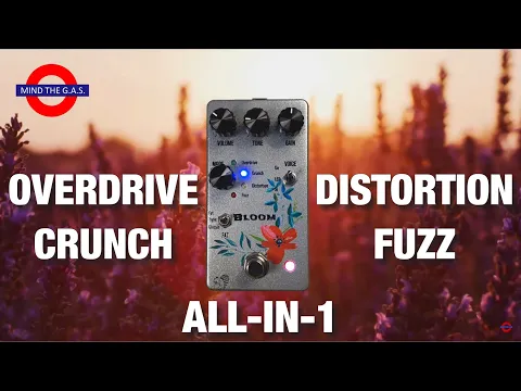 Drunk Beaver Bloom distortion pedal demo video by Mind the G.A.S. - YouTube thumbnail
