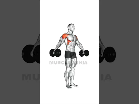 build cannonball shoulders fast