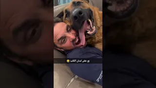 رجل يعض للسان كلب 