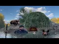 Download Lagu Building a Submerged Survival Shelter: How to Construct a Hidden House on the Water