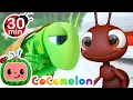 The Ant and the Grasshopper More CoComelon Animal Time Animals for Kids