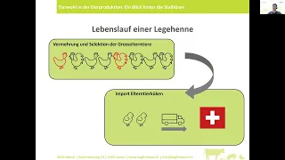 Webinar 19.2.25 Tierwohl in der Eierproduktion