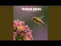 Download Lagu Tembok Beton