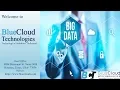 Big Data and Dynamic Analytics - BlueCloud Technologies