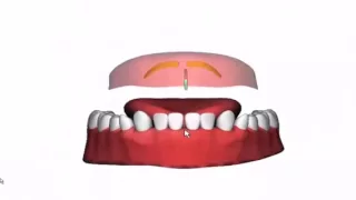 صفة التكرير ثلاثية الابعاد حرف الراء 