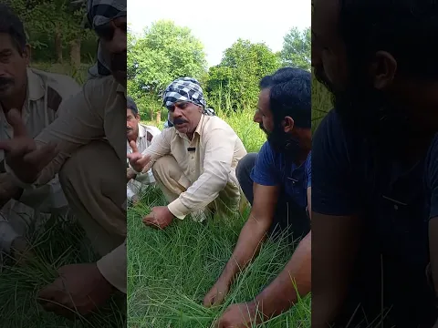 Ye Kia Bat Kar Di...!!! #shorts