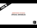 Perl Basics Special Variables