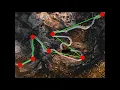Ramer Douglas Peucker - Director s Cut
